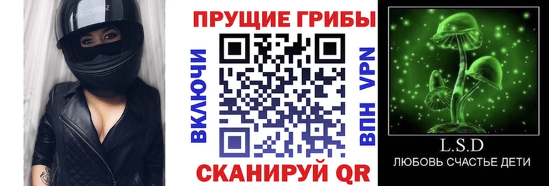 даркнет сайт  Суоярви  Галлюциногенные грибы мицелий 